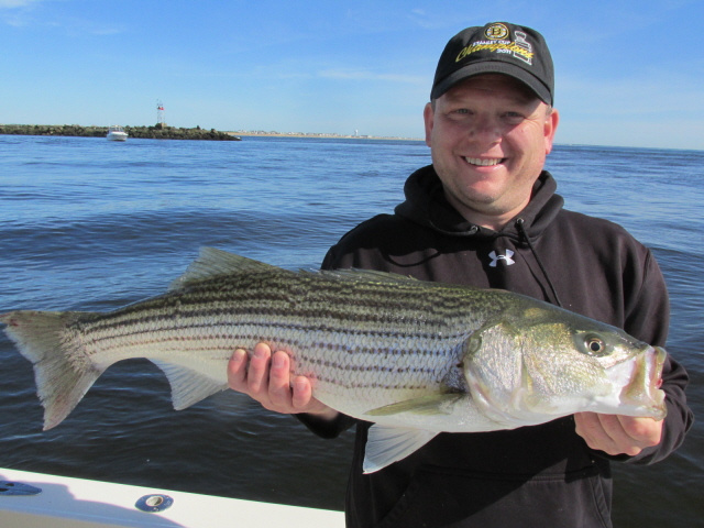 Mike Merwede's striped bass 6-16-14